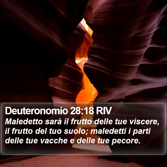 Deuteronomio 28:18 RIV Bible Study