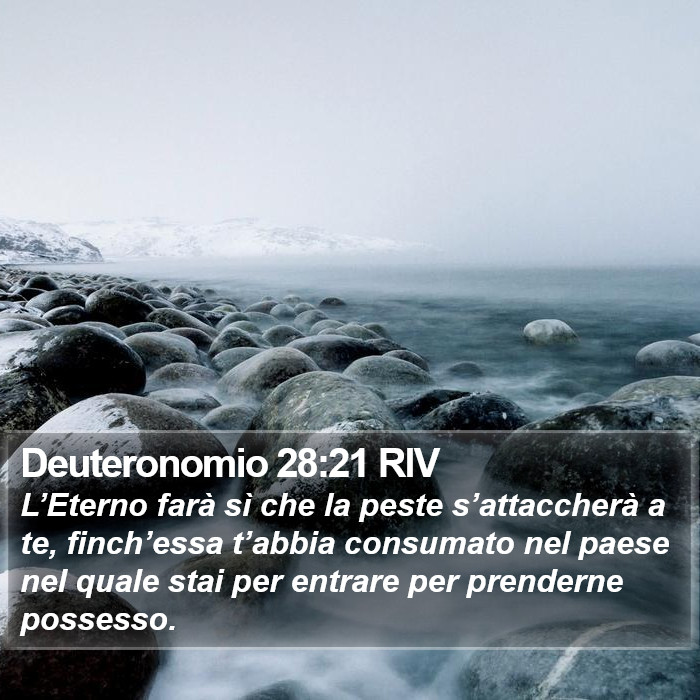 Deuteronomio 28:21 RIV Bible Study