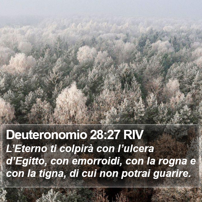 Deuteronomio 28:27 RIV Bible Study