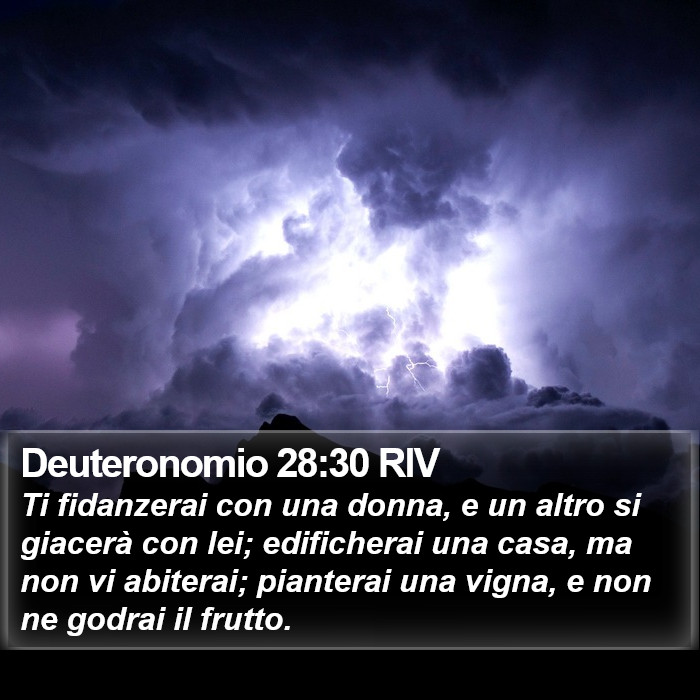 Deuteronomio 28:30 RIV Bible Study