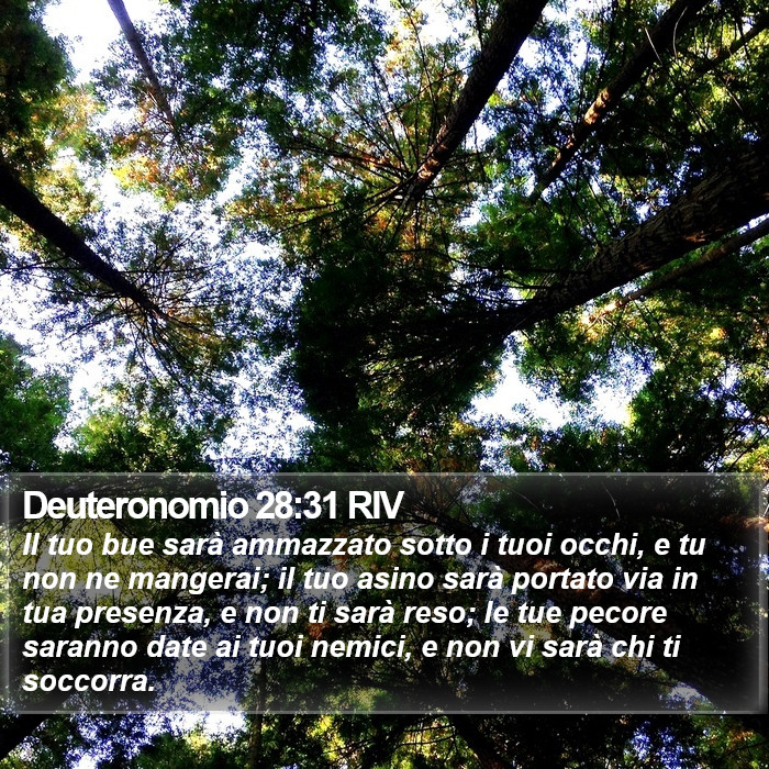 Deuteronomio 28:31 RIV Bible Study