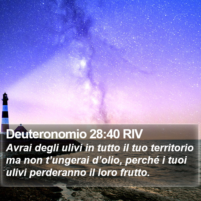 Deuteronomio 28:40 RIV Bible Study