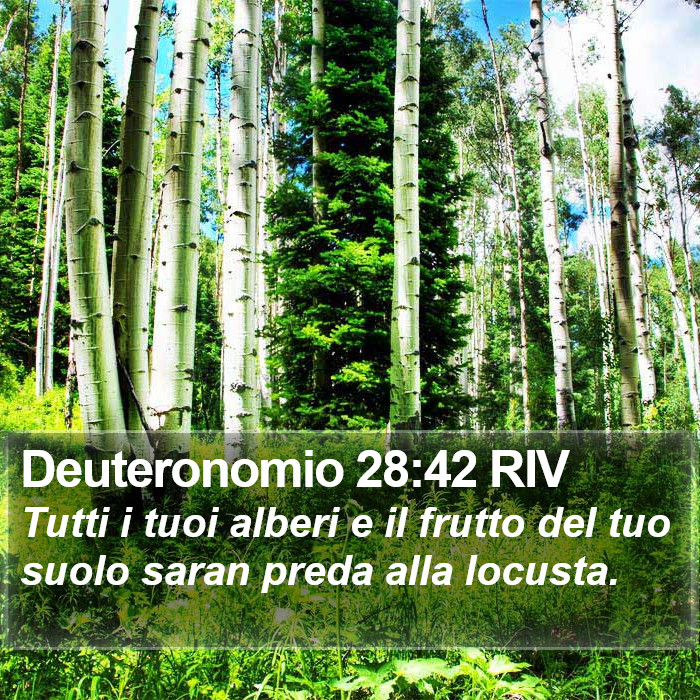 Deuteronomio 28:42 RIV Bible Study