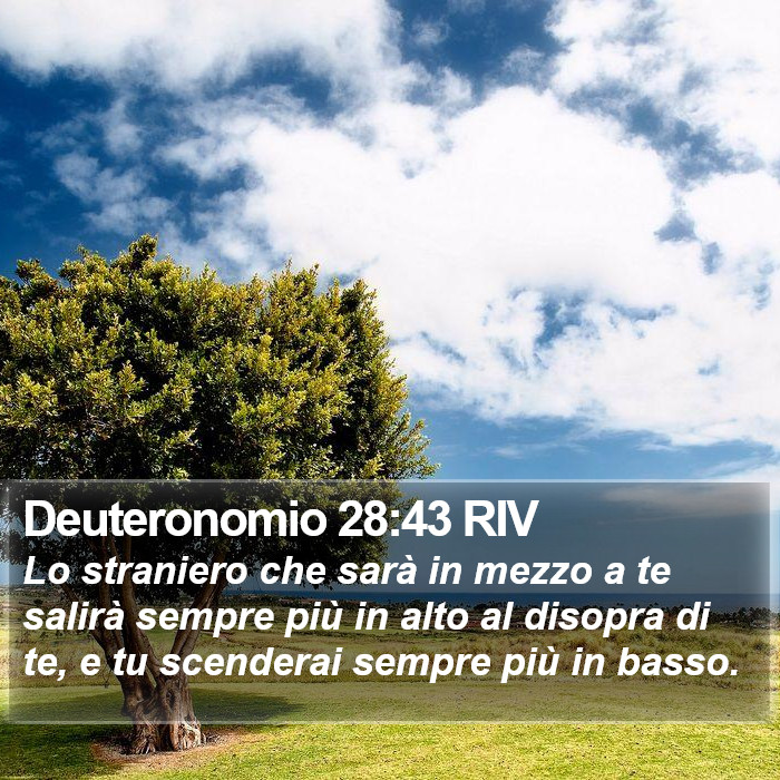 Deuteronomio 28:43 RIV Bible Study
