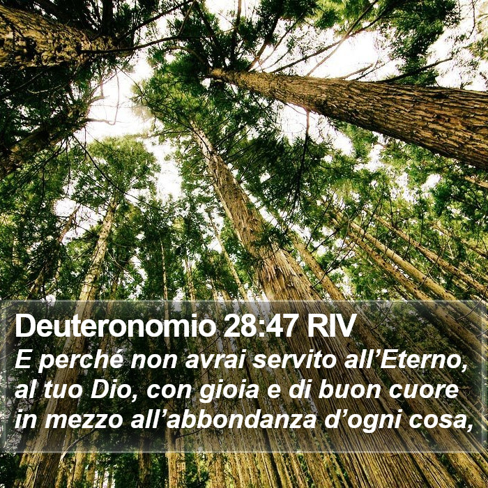 Deuteronomio 28:47 RIV Bible Study