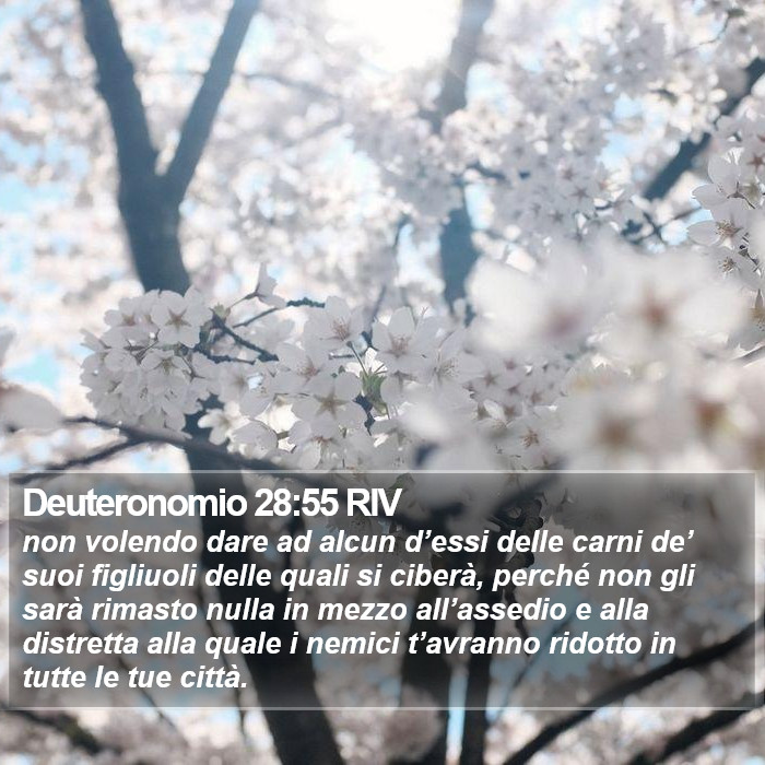 Deuteronomio 28:55 RIV Bible Study