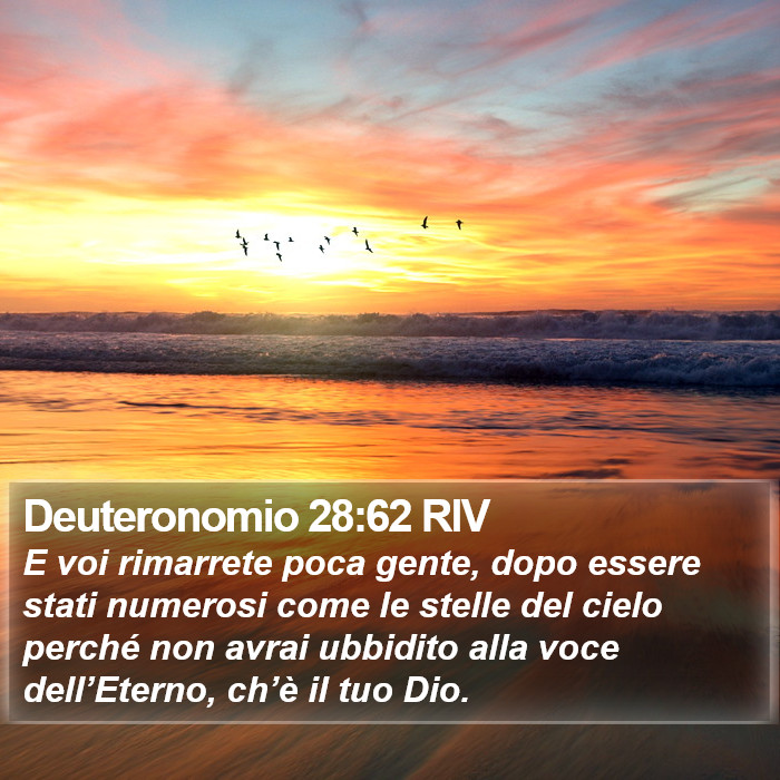 Deuteronomio 28:62 RIV Bible Study