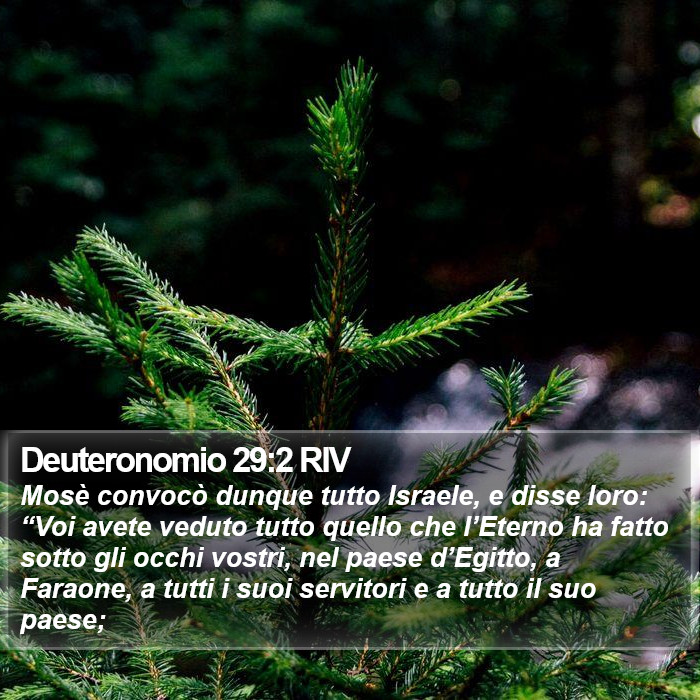 Deuteronomio 29:2 RIV Bible Study