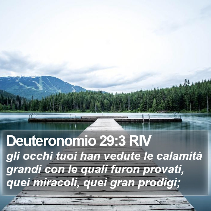 Deuteronomio 29:3 RIV Bible Study