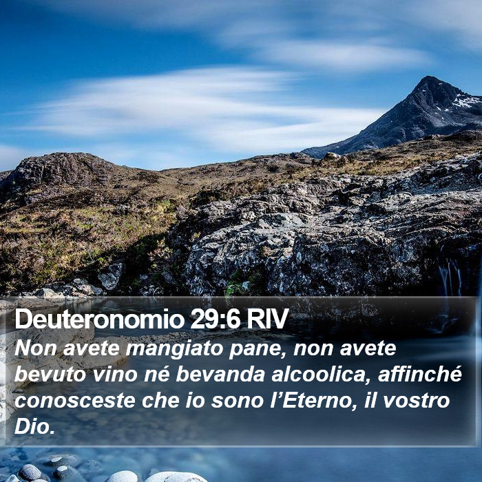 Deuteronomio 29:6 RIV Bible Study