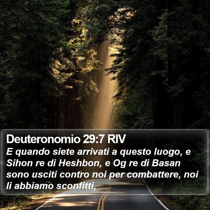 Deuteronomio 29:7 RIV Bible Study