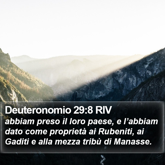 Deuteronomio 29:8 RIV Bible Study