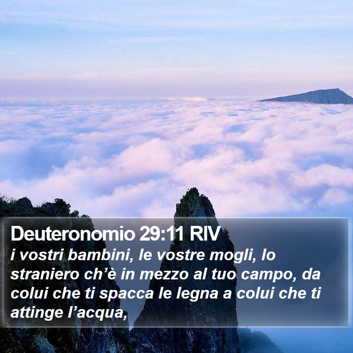 Deuteronomio 29:11 RIV Bible Study