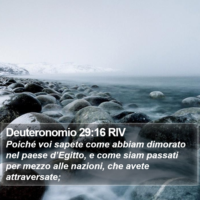 Deuteronomio 29:16 RIV Bible Study