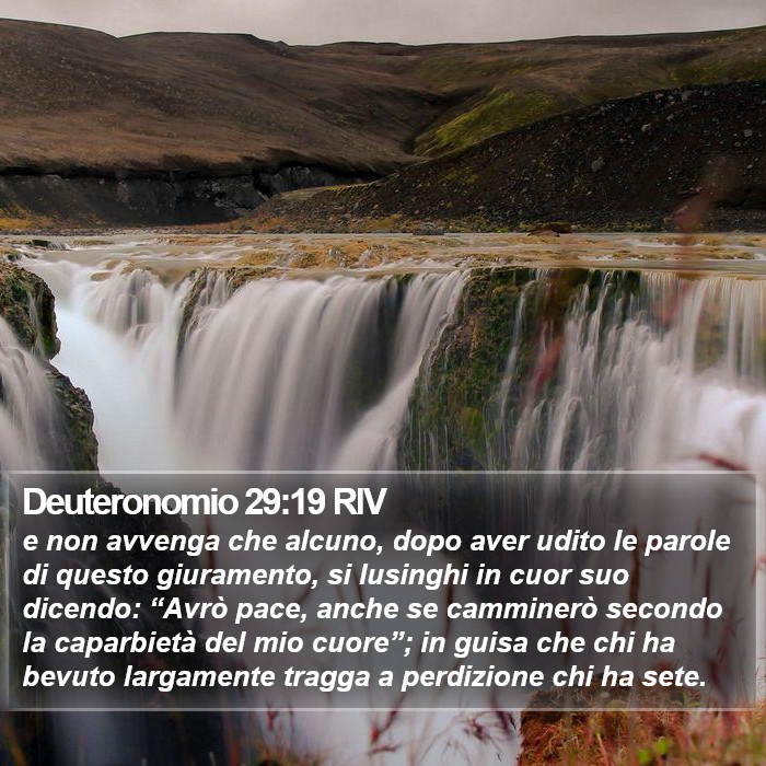 Deuteronomio 29:19 RIV Bible Study