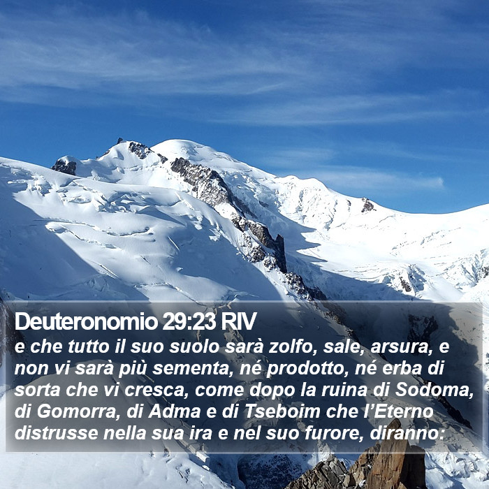 Deuteronomio 29:23 RIV Bible Study