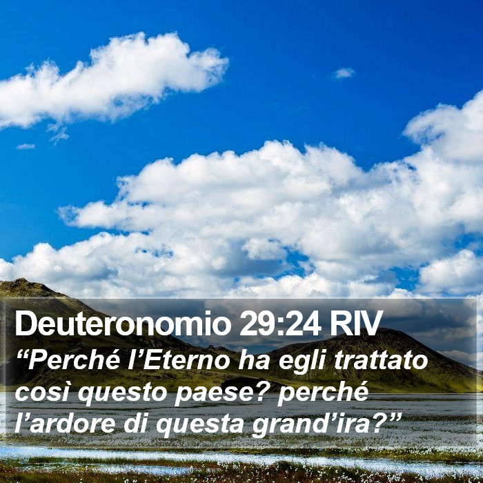 Deuteronomio 29:24 RIV Bible Study