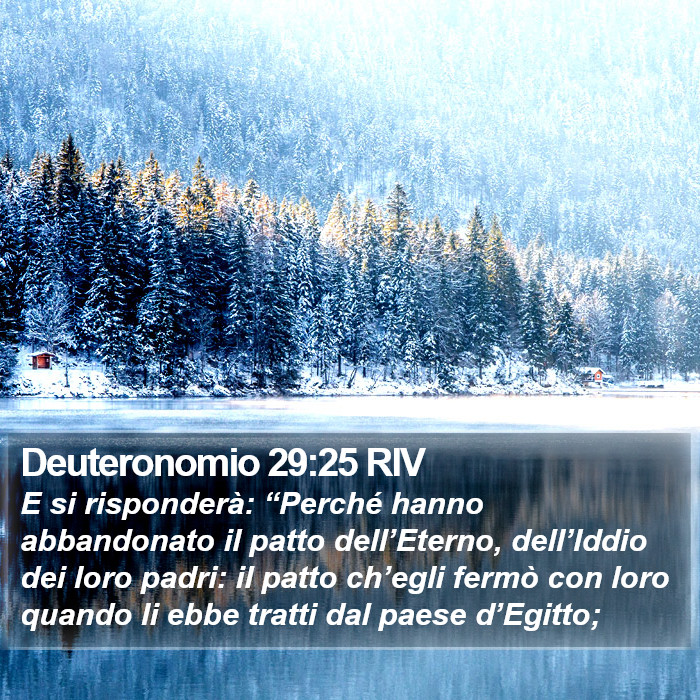 Deuteronomio 29:25 RIV Bible Study