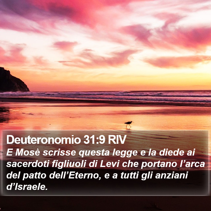 Deuteronomio 31:9 RIV Bible Study