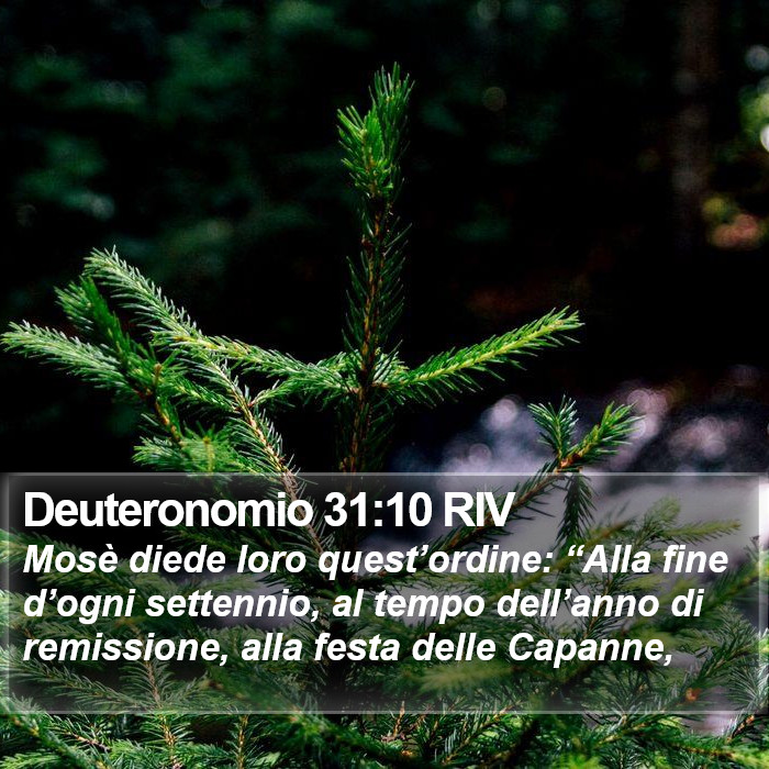 Deuteronomio 31:10 RIV Bible Study