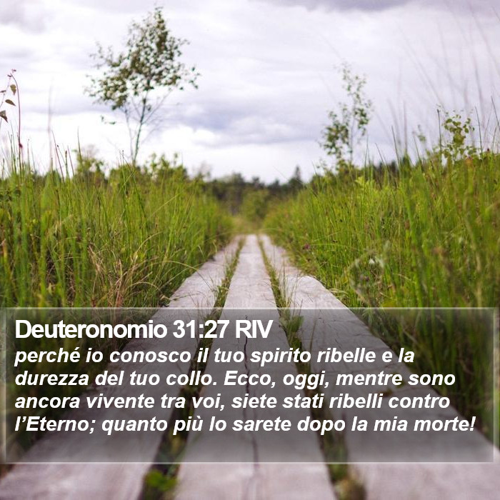 Deuteronomio 31:27 RIV Bible Study