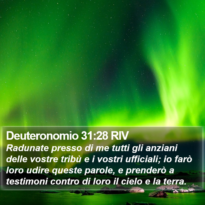 Deuteronomio 31:28 RIV Bible Study