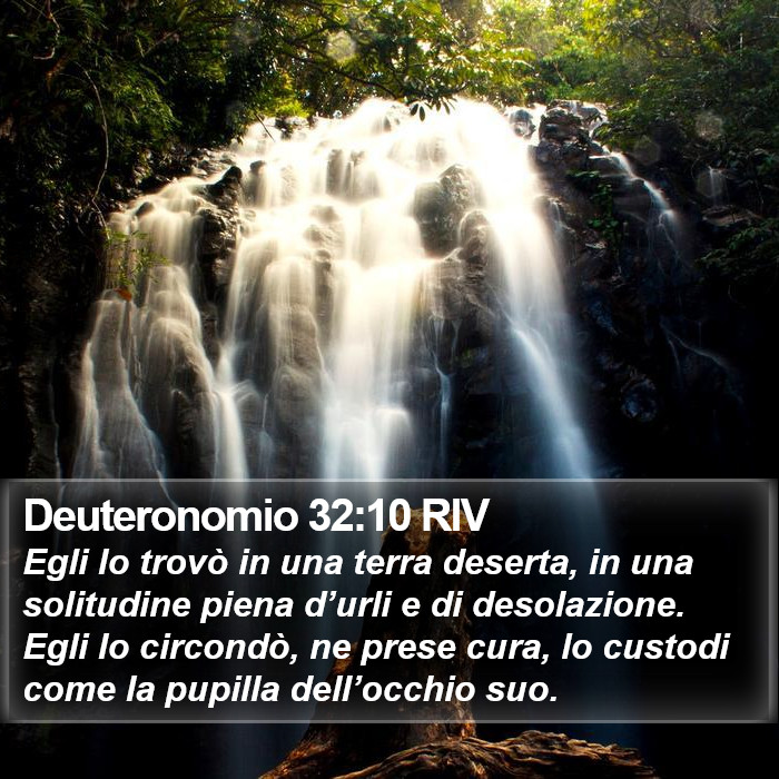 Deuteronomio 32:10 RIV Bible Study