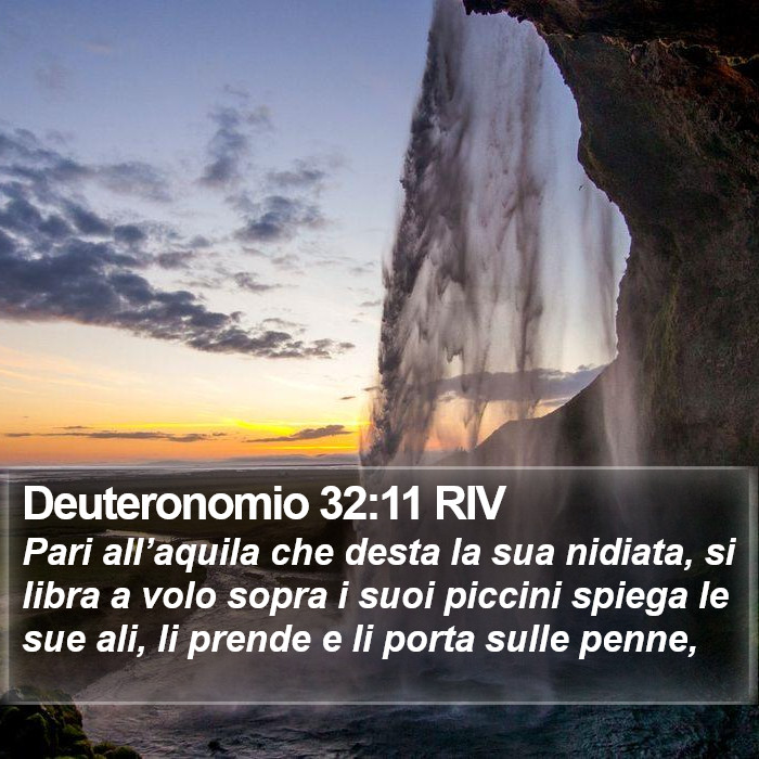 Deuteronomio 32:11 RIV Bible Study