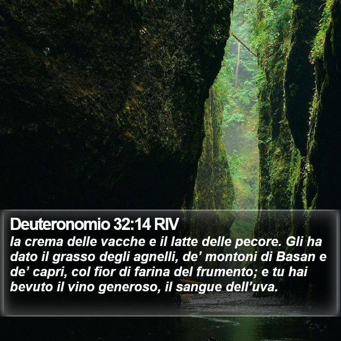 Deuteronomio 32:14 RIV Bible Study