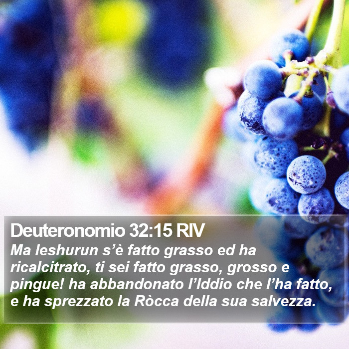 Deuteronomio 32:15 RIV Bible Study