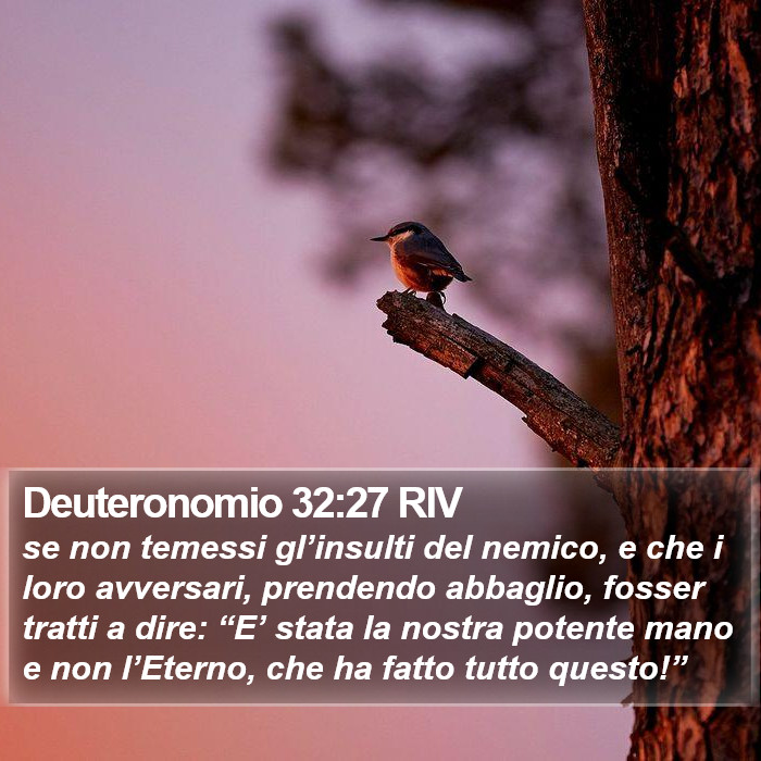 Deuteronomio 32:27 RIV Bible Study