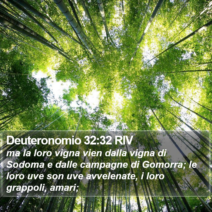 Deuteronomio 32:32 RIV Bible Study