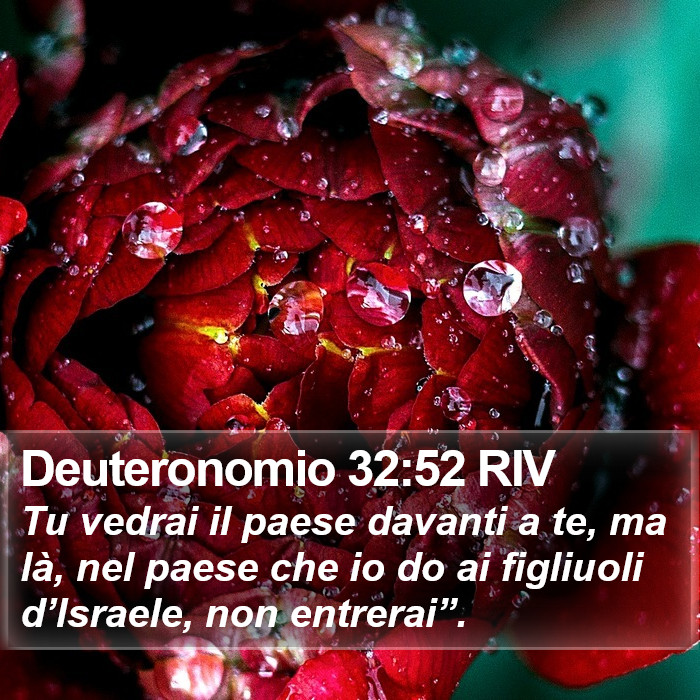 Deuteronomio 32:52 RIV Bible Study