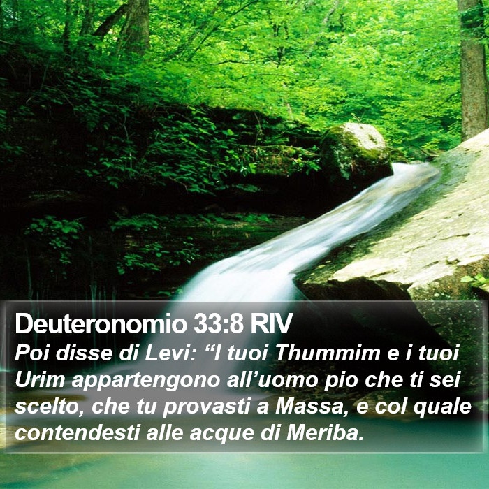 Deuteronomio 33:8 RIV Bible Study