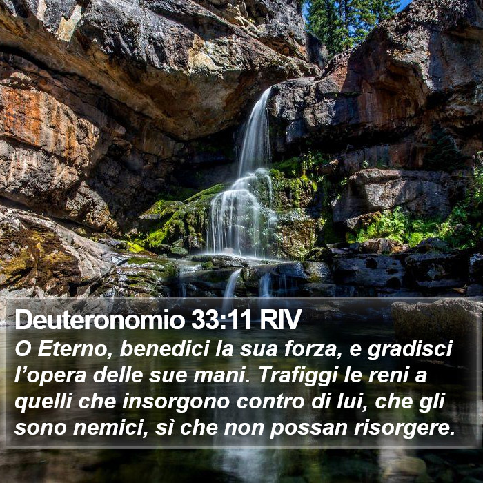 Deuteronomio 33:11 RIV Bible Study