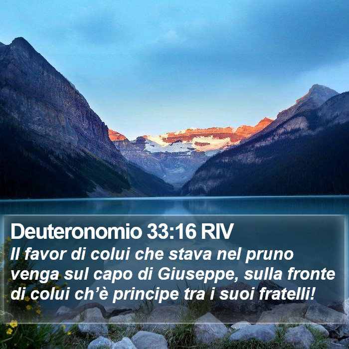 Deuteronomio 33:16 RIV Bible Study