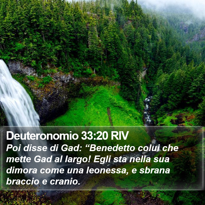 Deuteronomio 33:20 RIV Bible Study