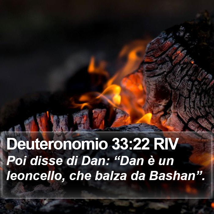 Deuteronomio 33:22 RIV Bible Study