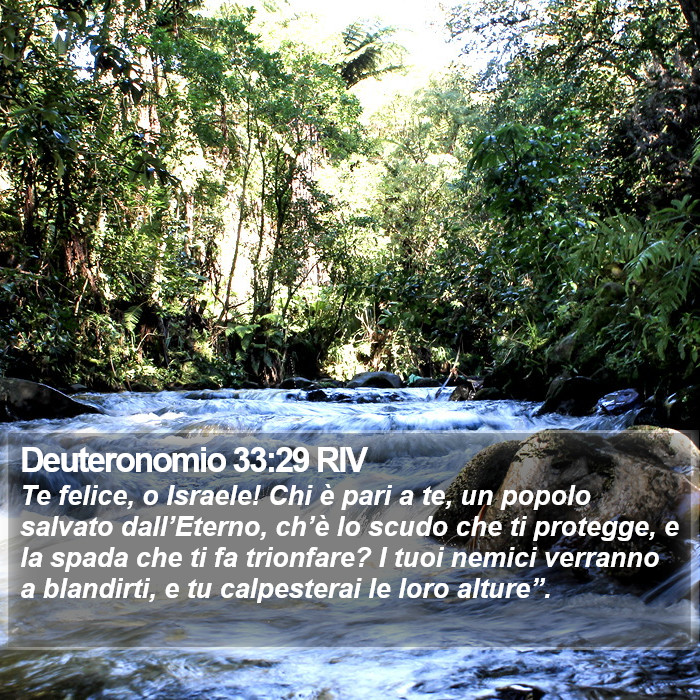 Deuteronomio 33:29 RIV Bible Study