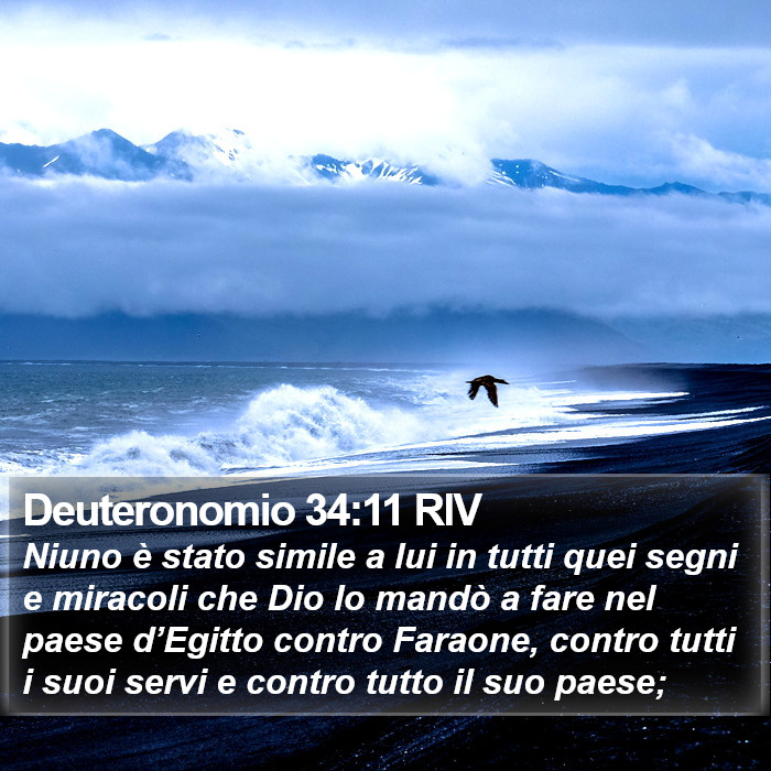 Deuteronomio 34:11 RIV Bible Study