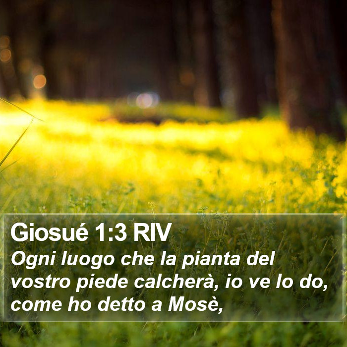 Giosué 1:3 RIV Bible Study