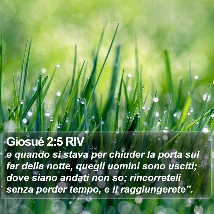 Giosué 2:5 RIV Bible Study