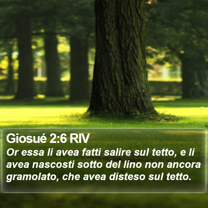 Giosué 2:6 RIV Bible Study