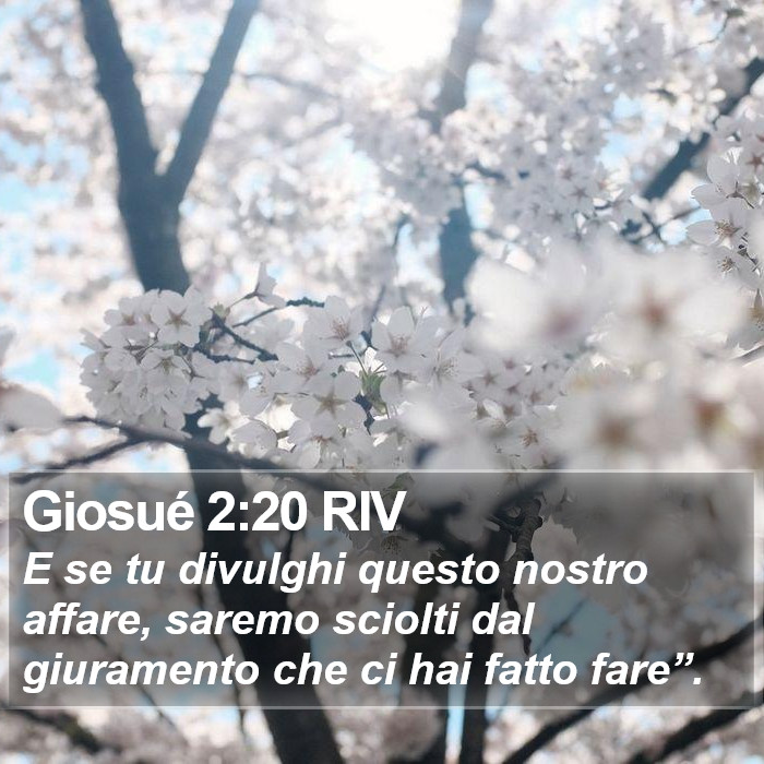 Giosué 2:20 RIV Bible Study