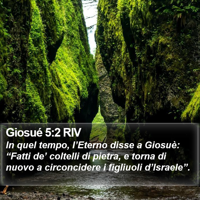 Giosué 5:2 RIV Bible Study