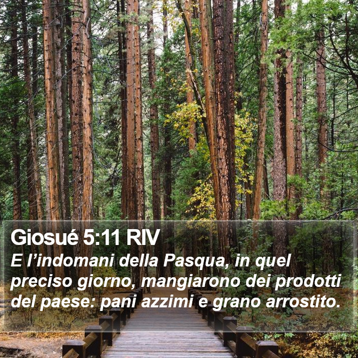 Giosué 5:11 RIV Bible Study