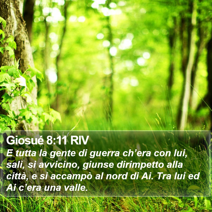 Giosué 8:11 RIV Bible Study