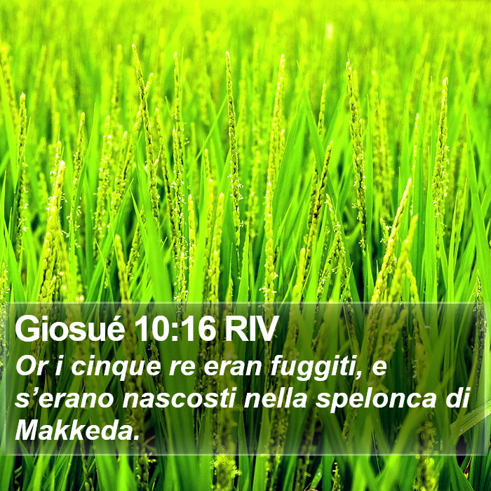 Giosué 10:16 RIV Bible Study