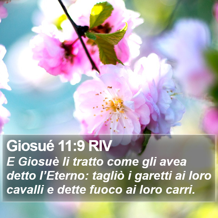 Giosué 11:9 RIV Bible Study