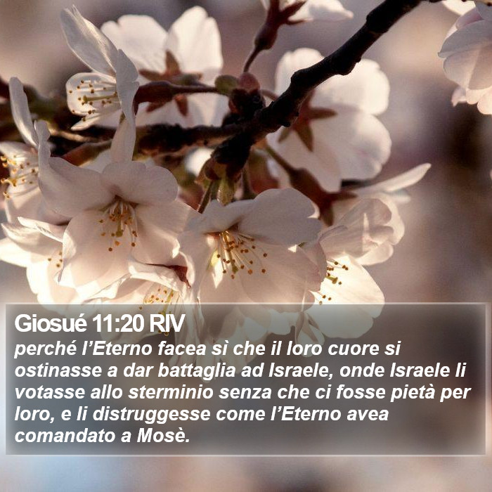 Giosué 11:20 RIV Bible Study